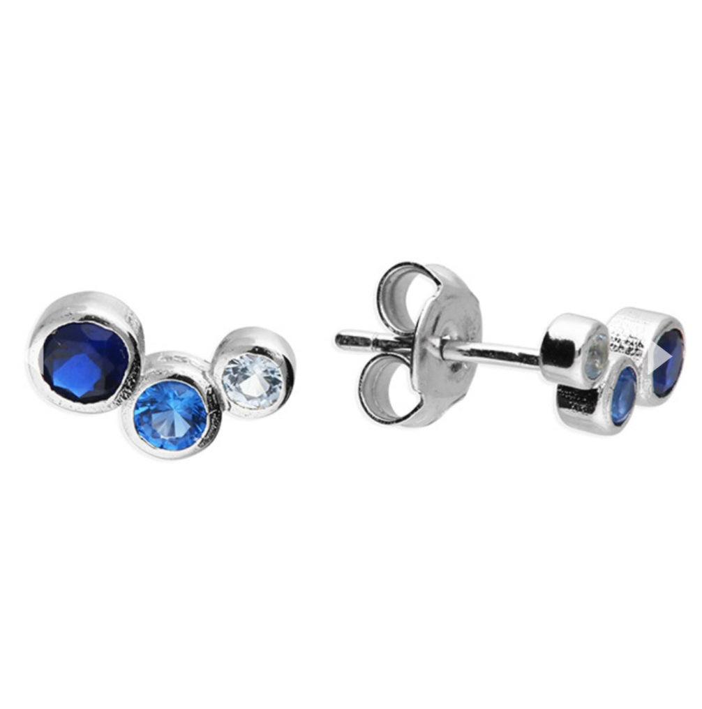 Blue Sterling Silver Earrings